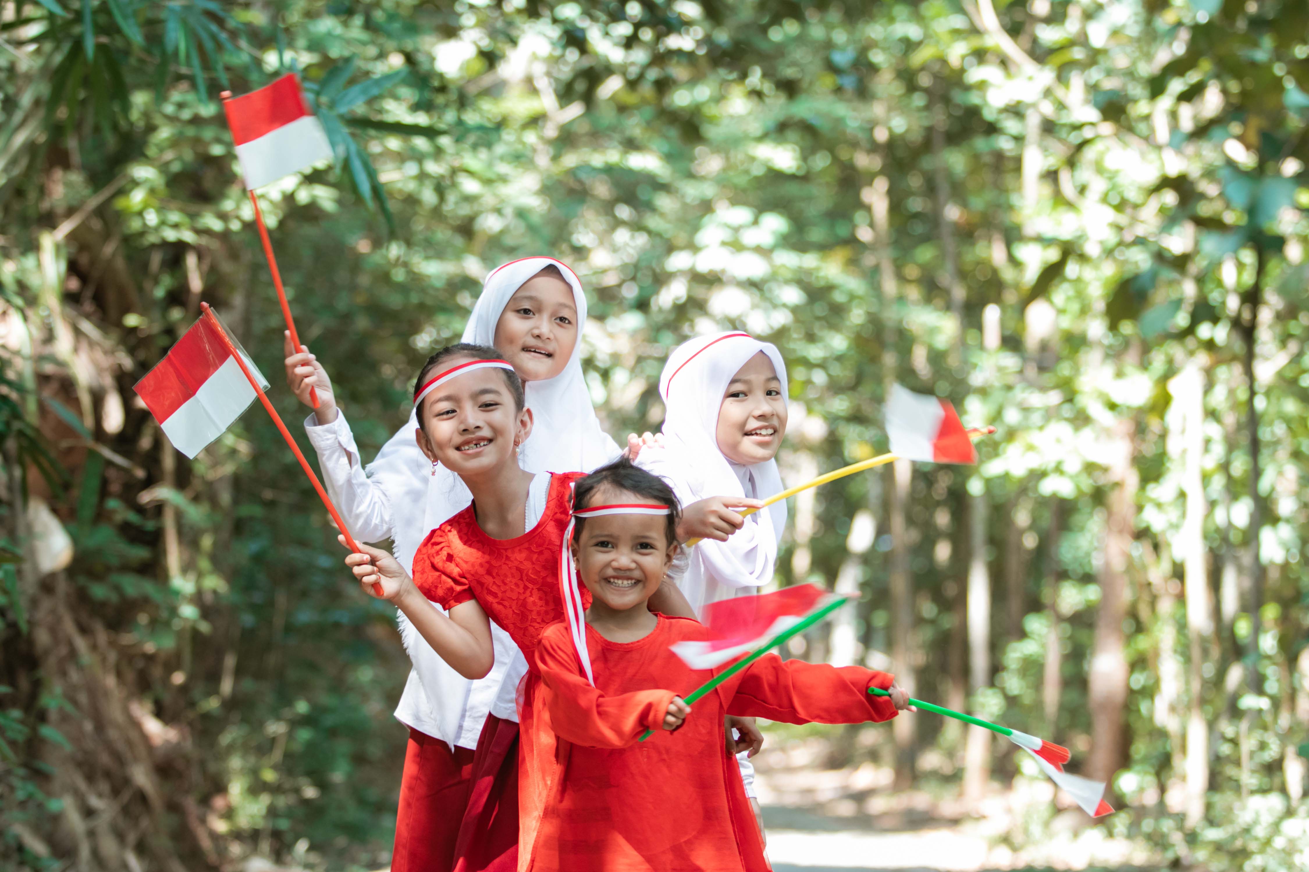 Indonesia Berpeluang Jadi Negara Maju dengan Bergabung OECD