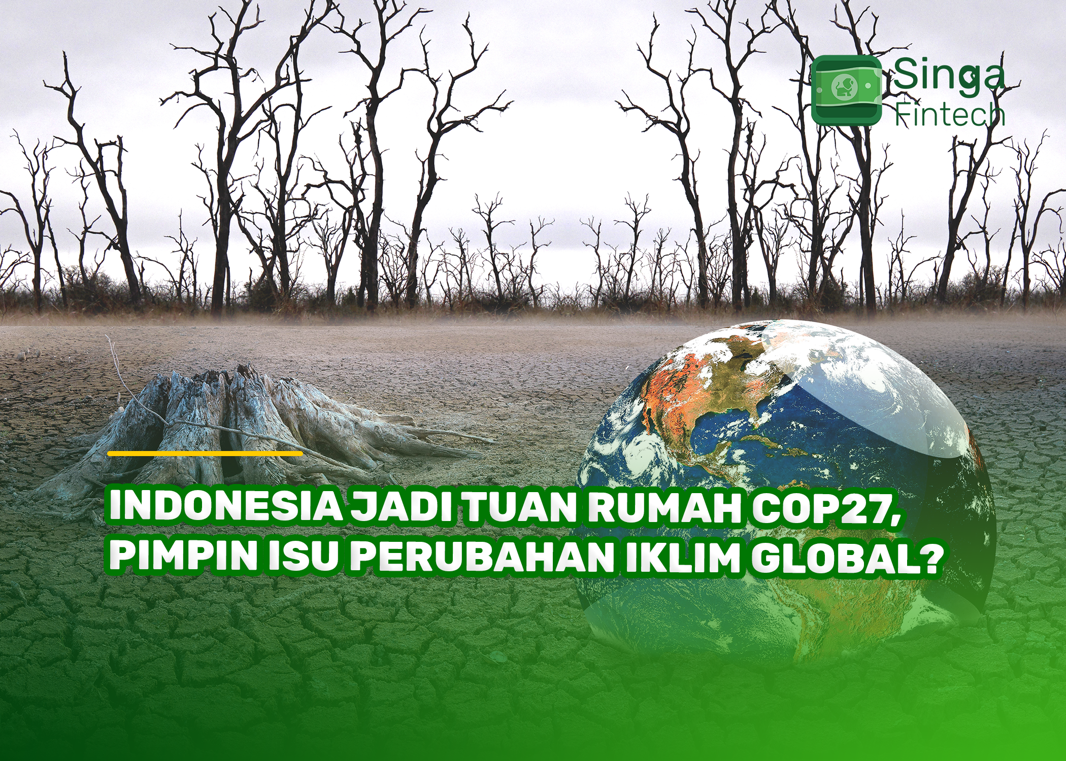 Indonesia Jadi Tuan Rumah COP27, Pimpin Isu Perubahan Iklim Global?