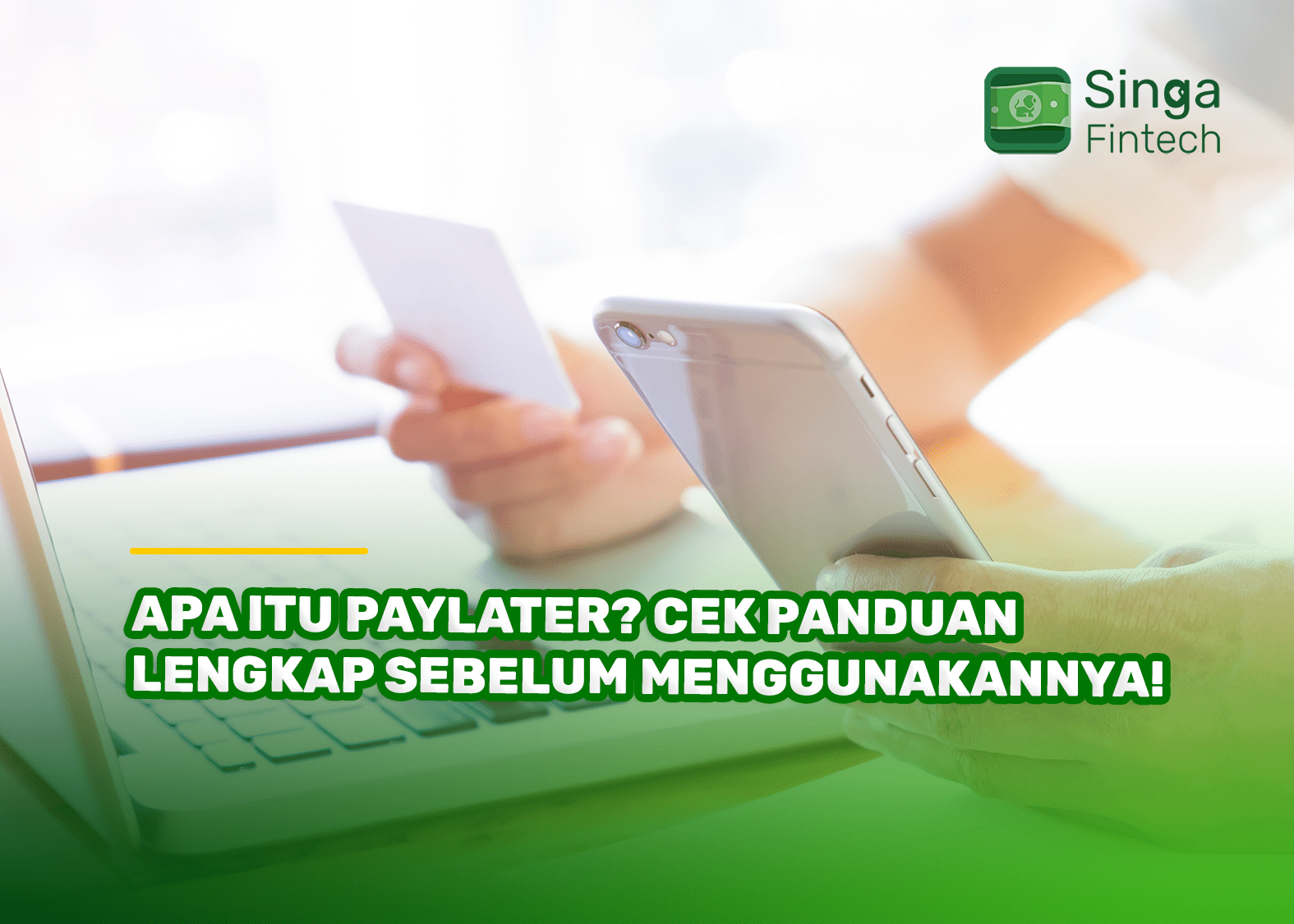 Apa Itu Paylater Cek Panduan Lengkap Sebelum Menggunakannya!