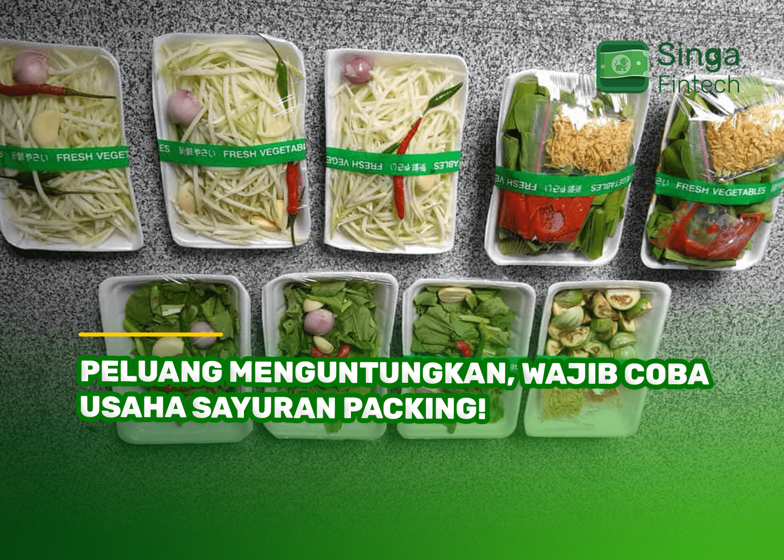 Peluang Menguntungkan, Wajib Coba Usaha Sayuran Packing!