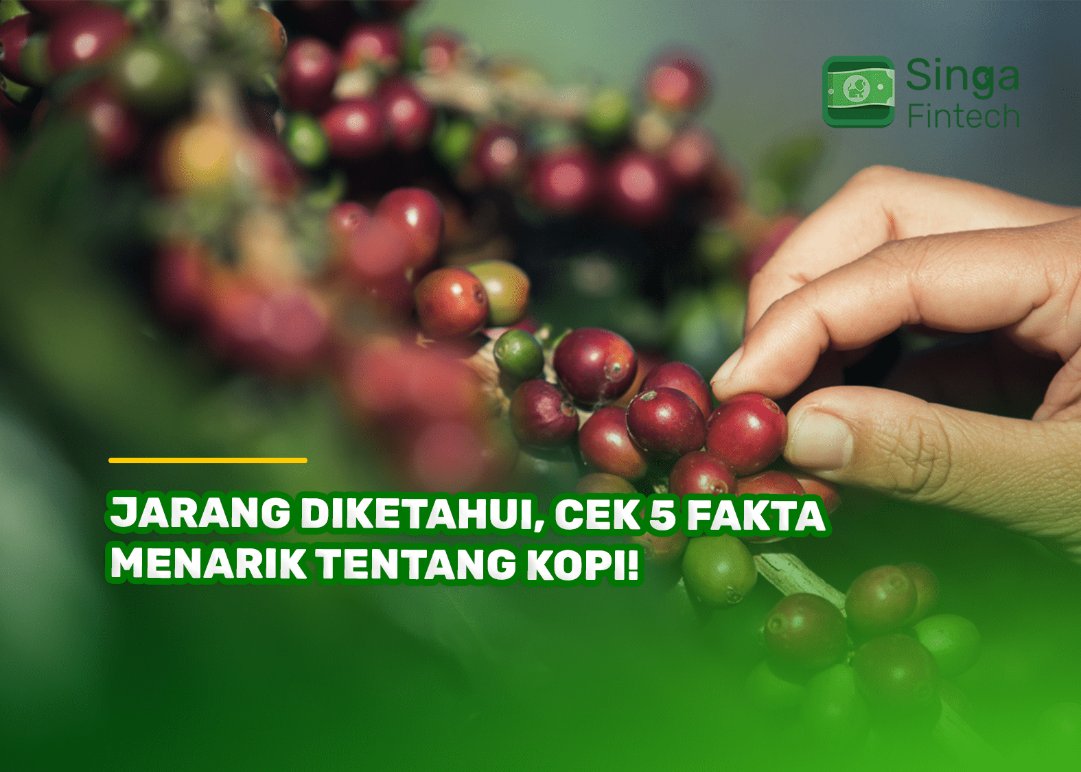 Jarang Diketahui, Cek 5 Fakta Menarik tentang Kopi!